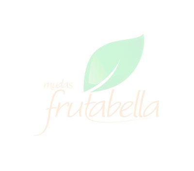 Mudas Frutíferas (Nativas e Exóticas) - Frutabella